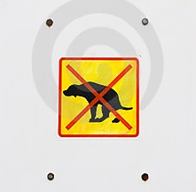 Duecento euro di multa ai padroni indisciplinati