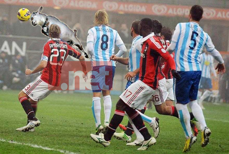 pescara-milan-capra.jpg