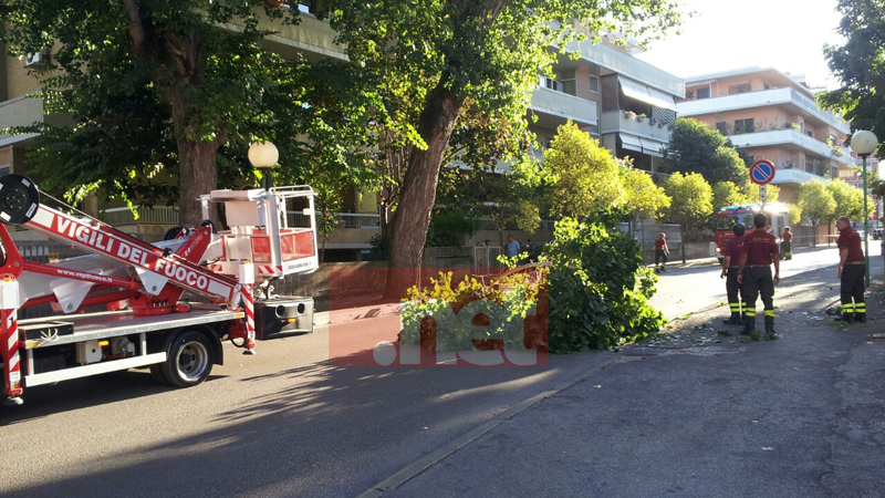 Foto di Andrea Rapino