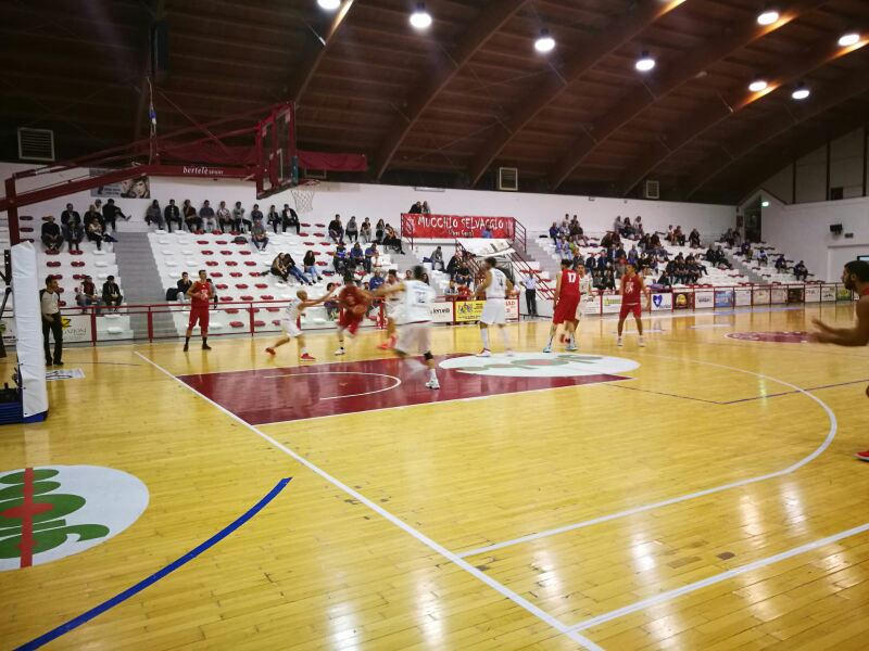 amatori-basket-ba6b.jpg