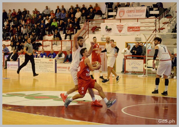 amatori-basket-d85d.jpg