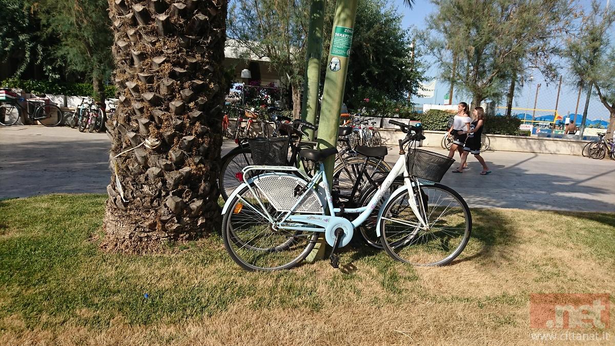 biciclette-su-aiuole-(19).JPG