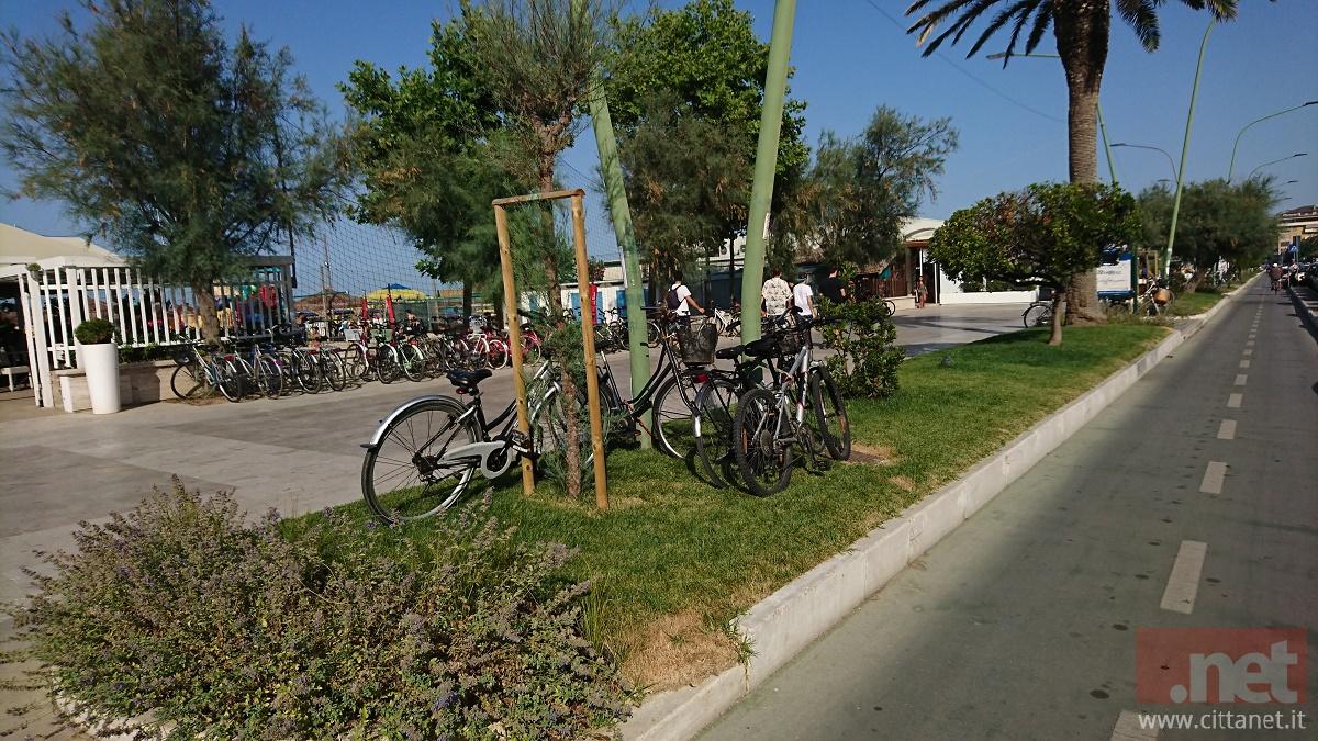 biciclette-su-aiuole-(27).JPG