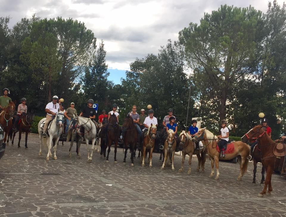 cavallo-volto-santo-manoppello.jpg