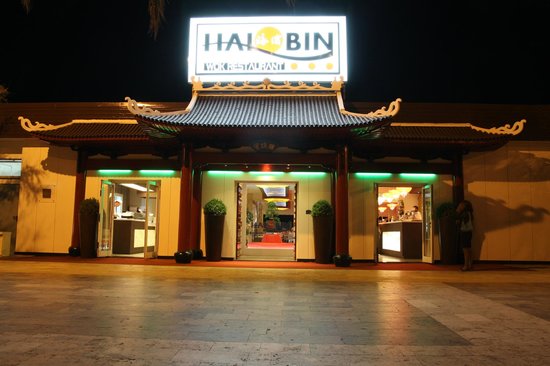hai-bin.jpg