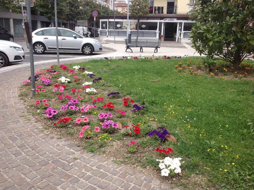 montesilvano-fiori-2.jpg