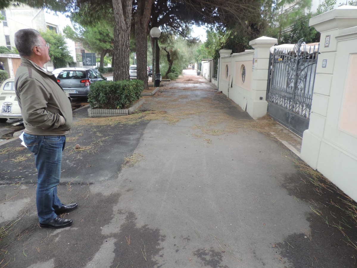 pista-ciclabile-sud-primo-vere-2.jpg