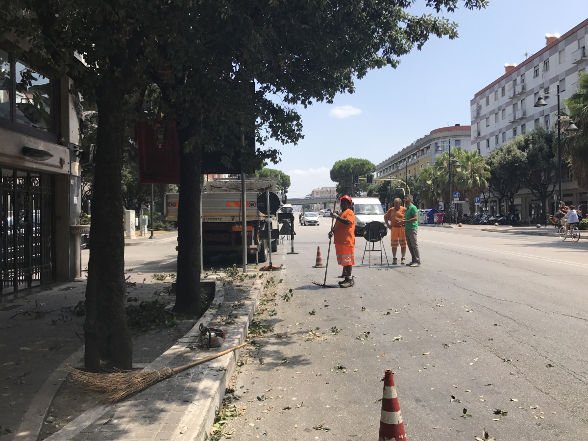 potatura-alberi-corso-vittorio.jpg