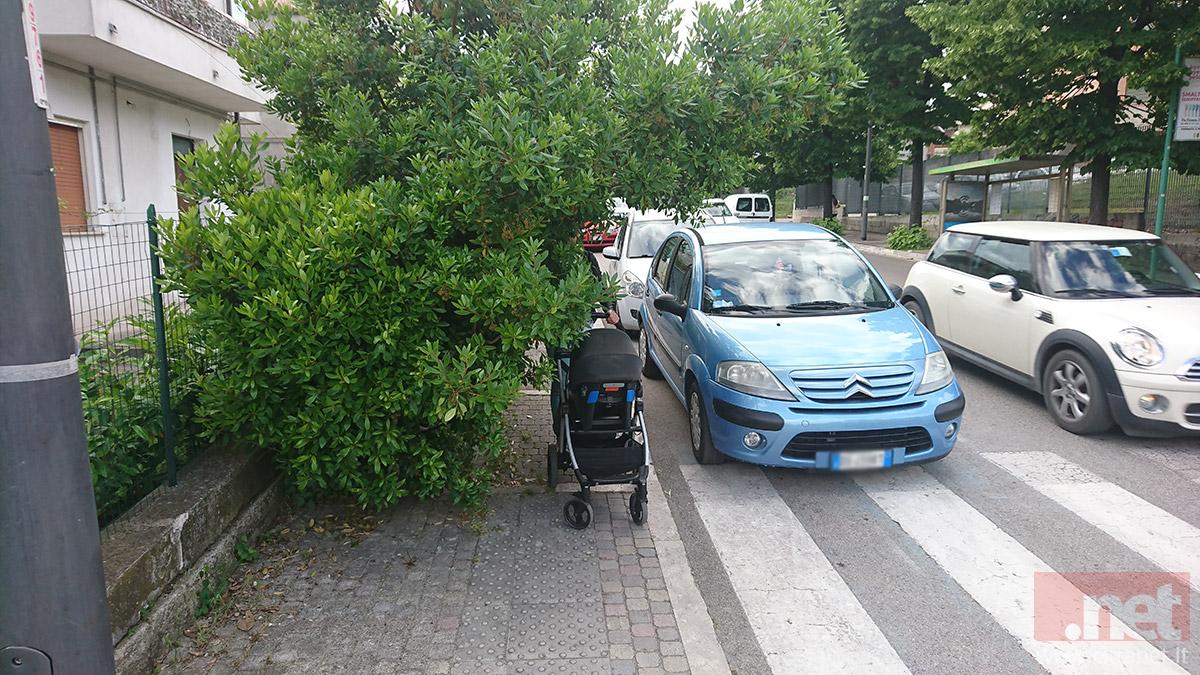 alberi-marciapiede-via-di-sotto-1.jpg