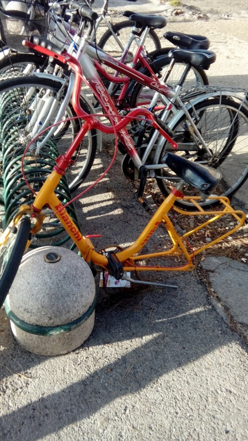 bici-abbandonate.jpg