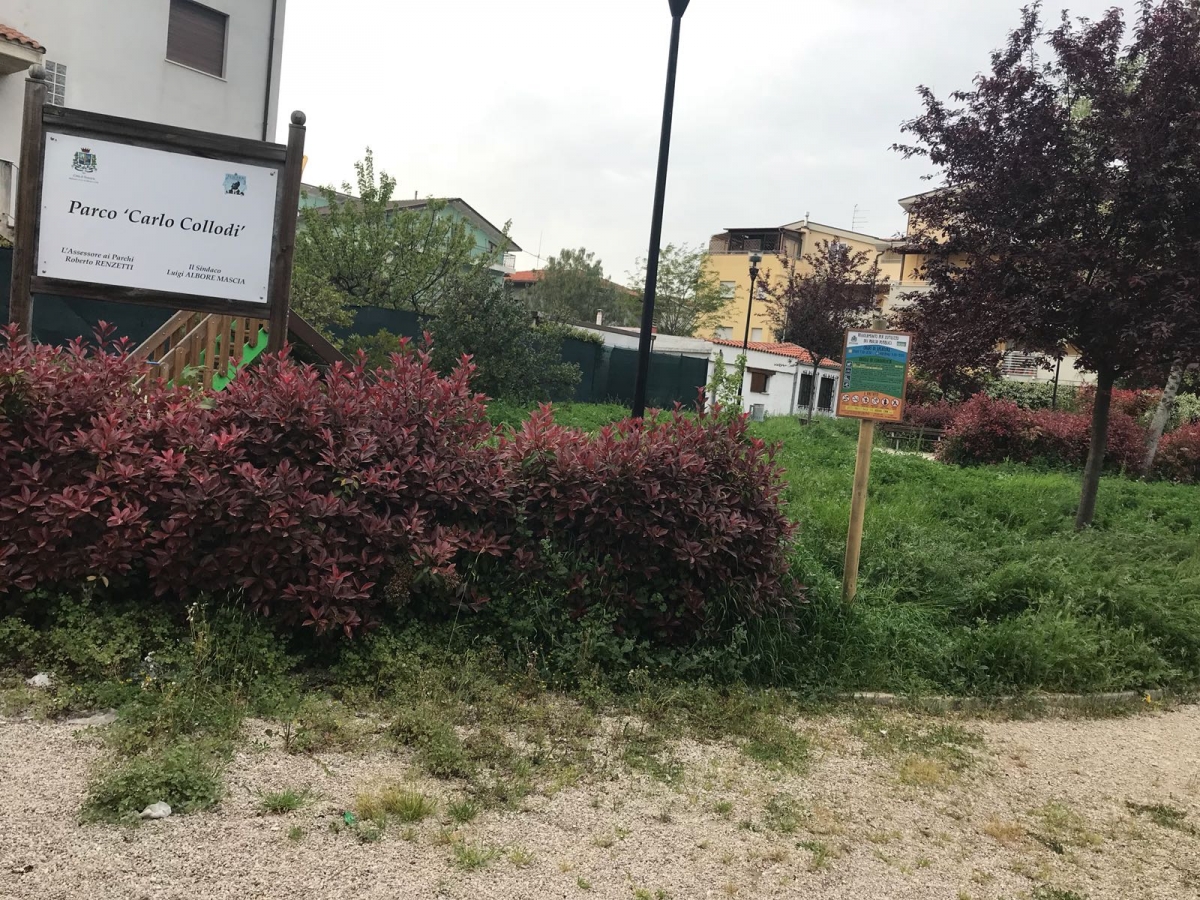degrado-parco-collodi-(3).jpg