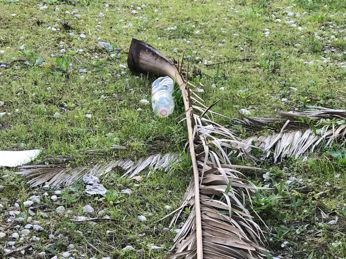 Foto-rifiuti-nel-giardino-Museo-del-Mare2.jpg