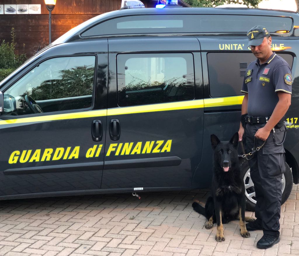 guardia-di-finanza-cinofila-cane.JPG
