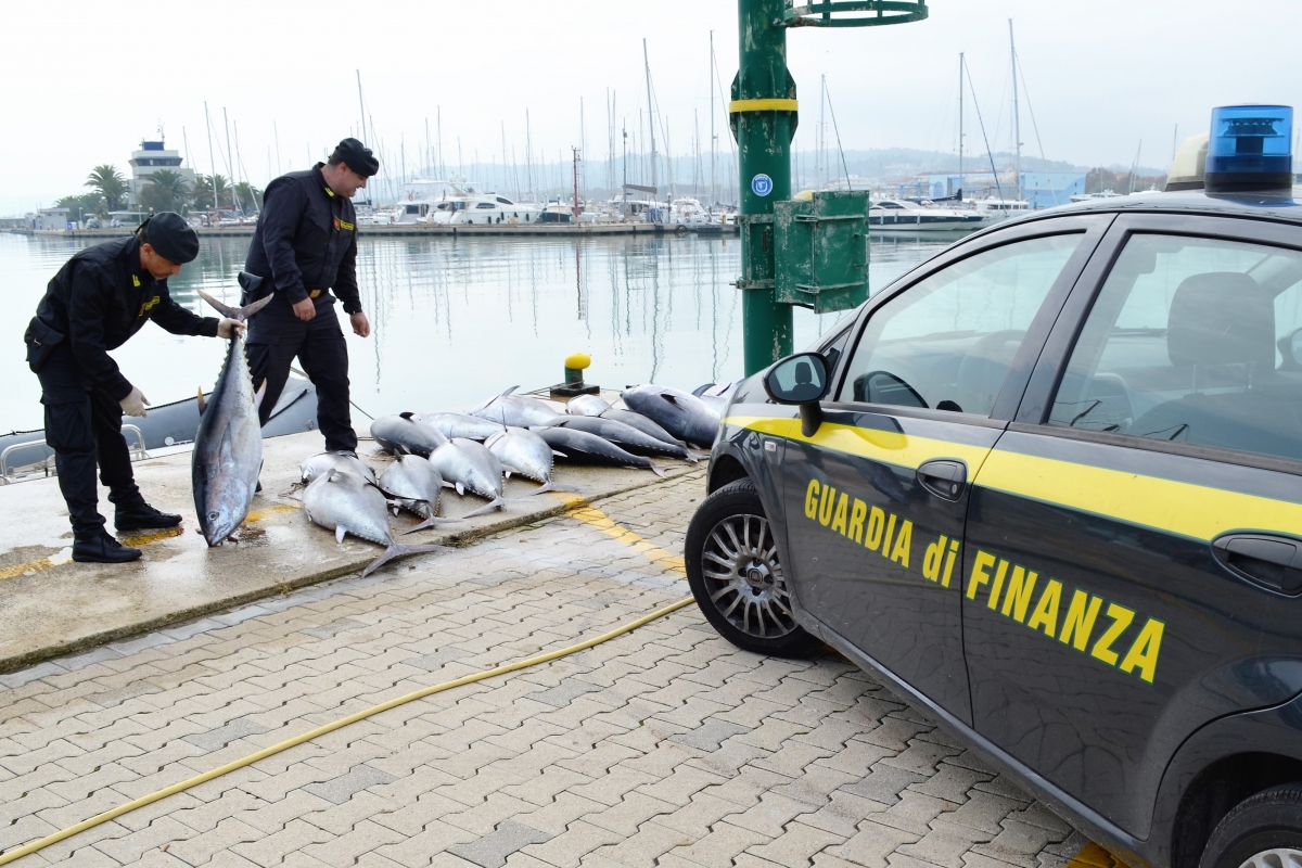 tonni-guardia-di-finanza.jpg