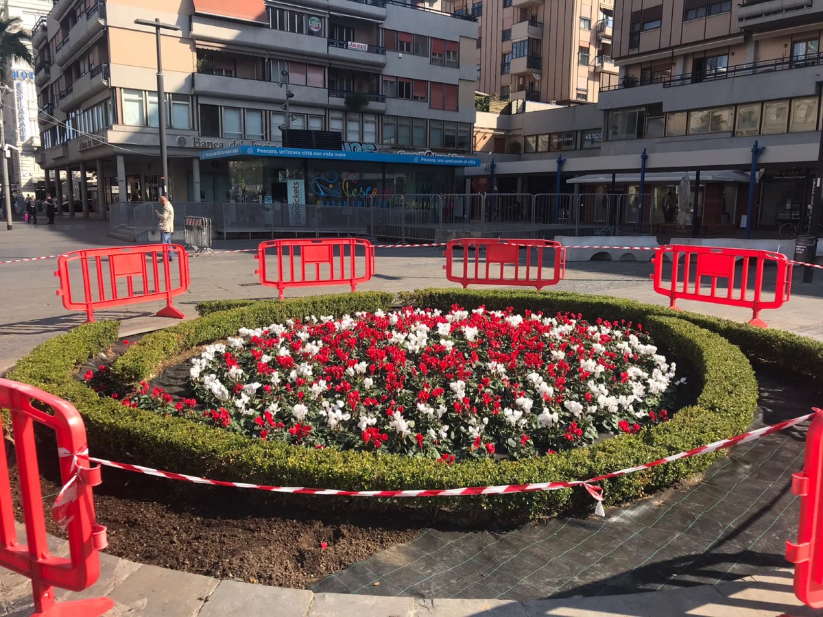 aiuola-fiori-piazza-salotto.jpeg