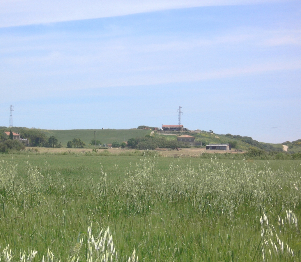 image005.jpg