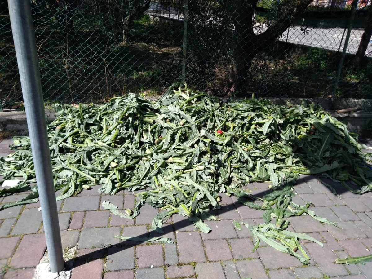 rifiuti-abbandonati.jpg