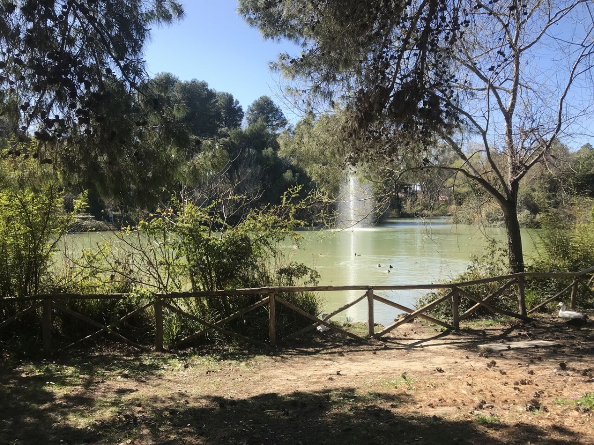 riserva-dannunziana-7.jpeg