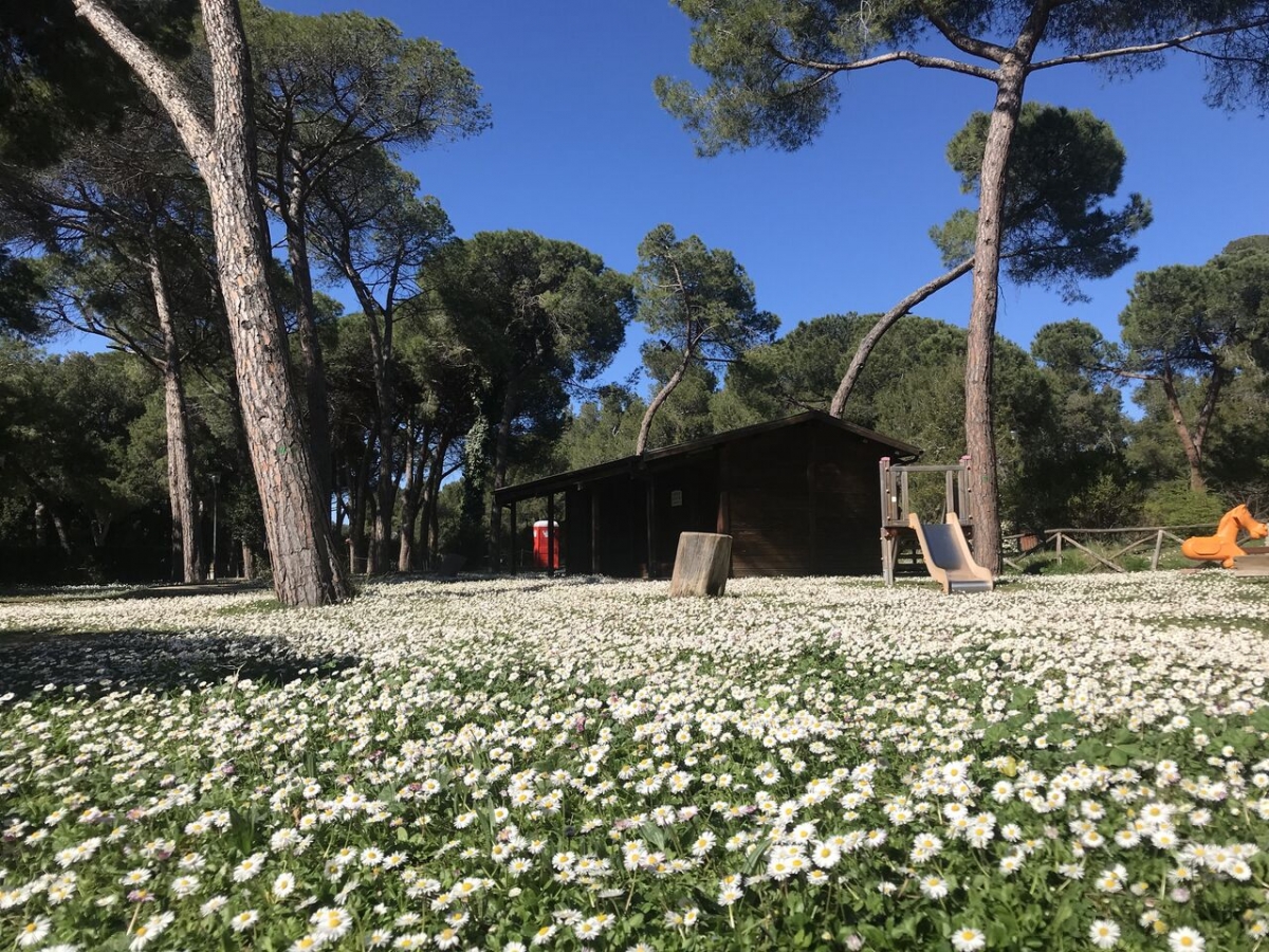 luxury b&b la riserva dannunziana