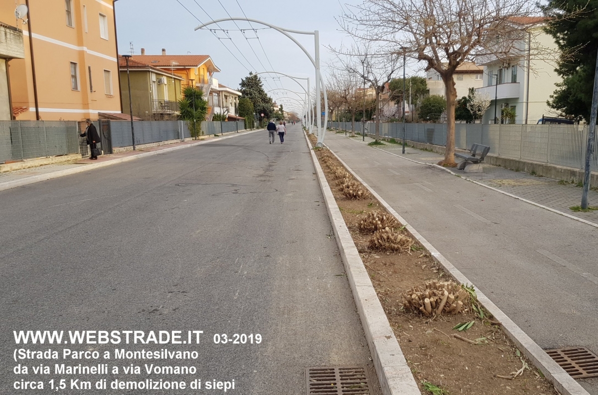 strada-parco-oleandri-tagliati.jpg