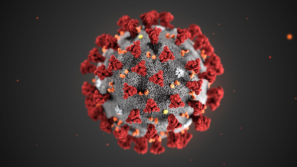 coronavirus-1-fa6d.jpg
