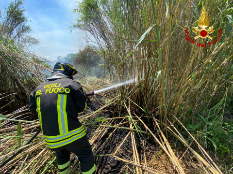 vigili-fuoco-incendio-torrente-piomba-(3).jpeg