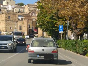 Penne pecore in macchina