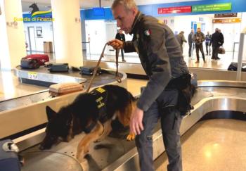 Cani-aeroporto-Guardia-di-Finanza.jpg