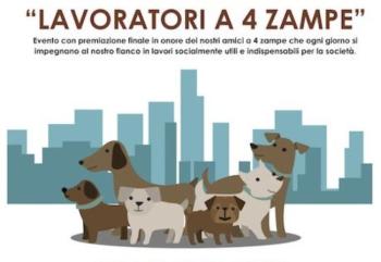 lavoratori-a-4-zampe.jpg