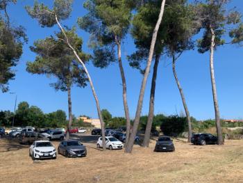 Parcheggio-selvaggio-Pineta.jpg