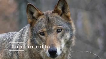 unnamed-sXSKeN.jpg