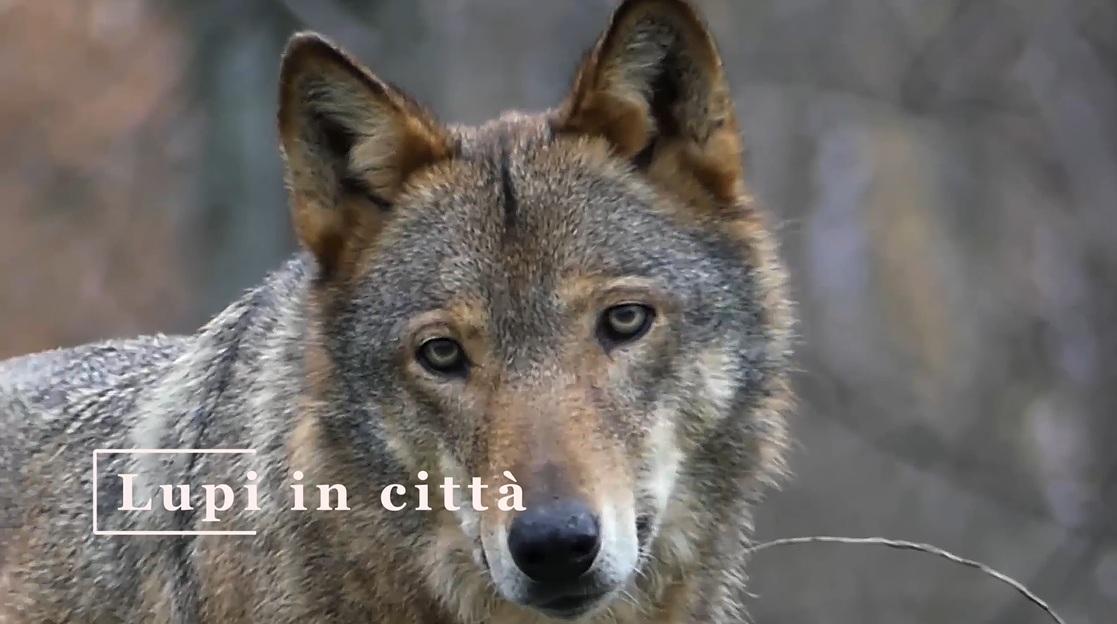 https://www.pescaranews.net/archivi/immagini/2026/U/unnamed-sXSKeN.jpg